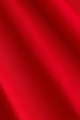 Robe smockée avec jupe évasée - Rouge — photo 5