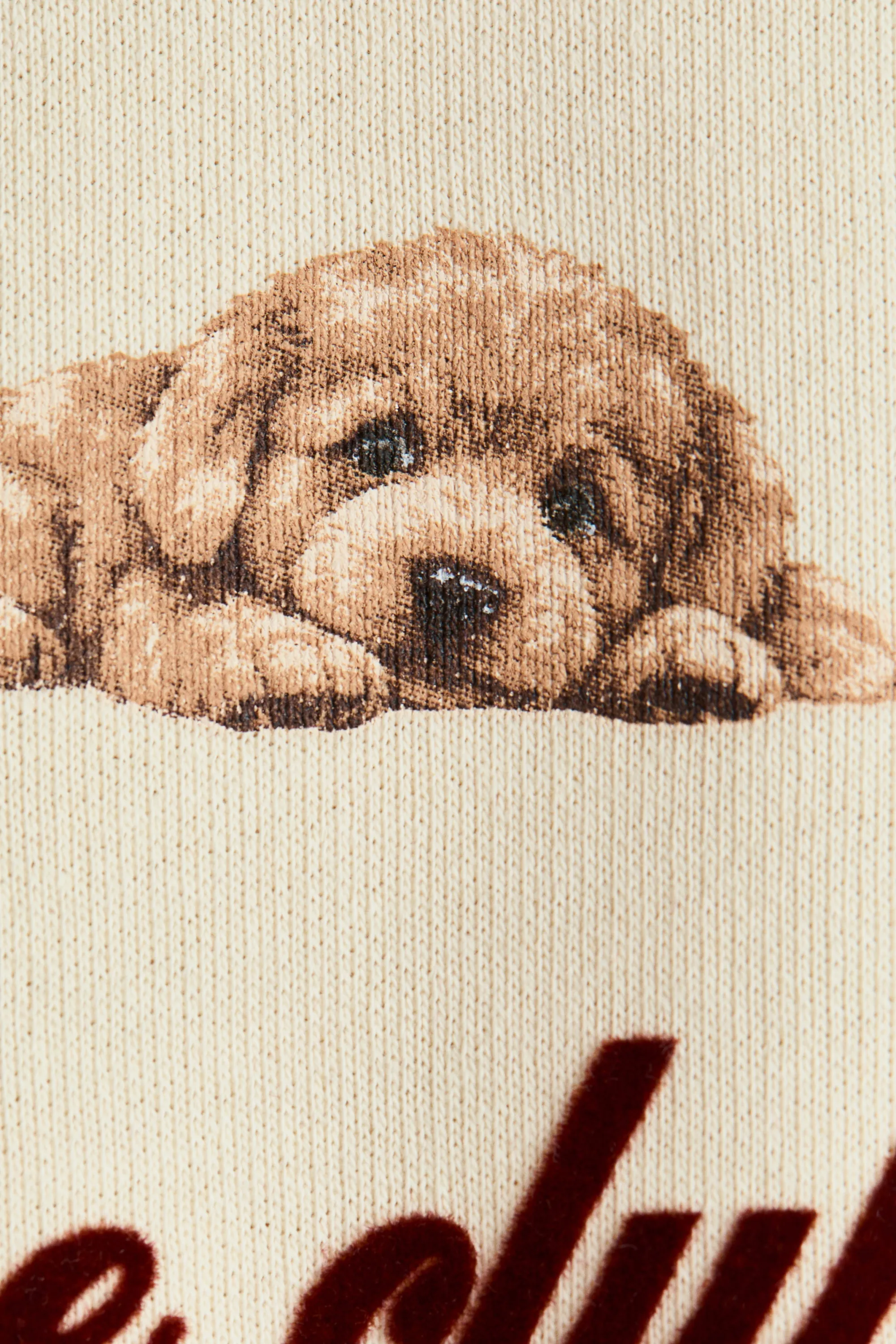 Sweat à l'intérieur brossé avec motif - Crème/chiens