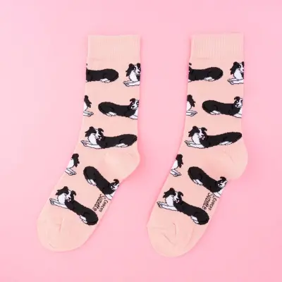 Chaussettes Border Collie Coucou Suzette — photo 1