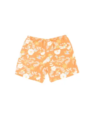 Baggies Lights Short Graphic Tigerly Orange — photo 5