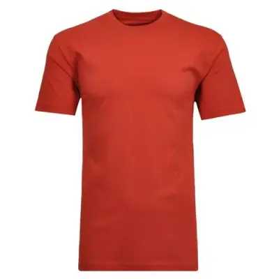 RAGMAN TEE SHIRT COL ROND GRANDE LONGUEUR Bordeaux — photo 1