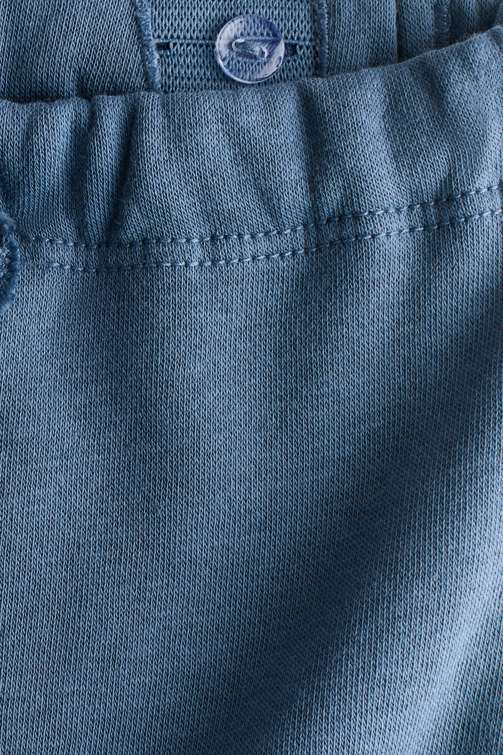 Lot de 2 pantalons jogger à l'intérieur brossé - Bleu ancien/voitures