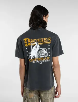 T-shirt Dickies Mi-lourd Gainesville – black — photo 2