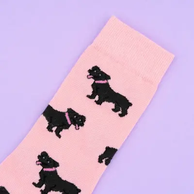 Chaussettes Staffie Coucou Suzette — photo 3
