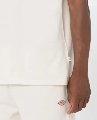 DICKIES TEE SHIRT Beige — photo 2