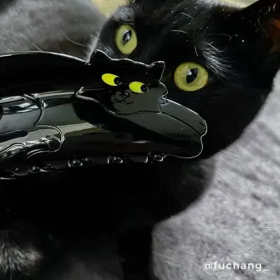 Pince à cheveux Chat noir Coucou Suzette — photo 4