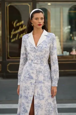 Catalina Toile De Jouy Dress — photo 1