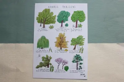 Affiche A5 Arbres Parisiens – Ellimac Pinson — photo 2