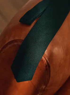 Cravate Nelson Vert — photo 1