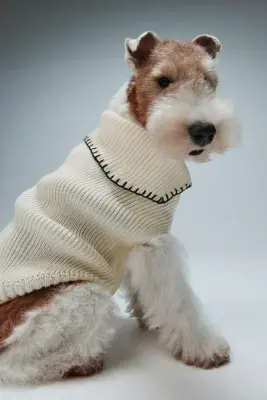 Pull pour chien en maille côtelée - Crème — photo 3