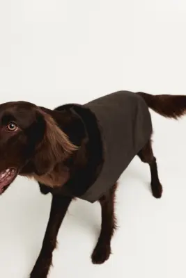 Manteau ciré pour chien - Marron foncé — photo 5