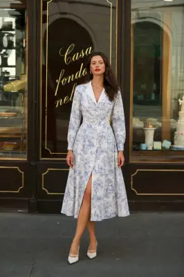 Catalina Toile De Jouy Dress — photo 2
