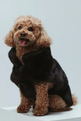 Manteau duveteux pour chien - Marron foncé — photo 1