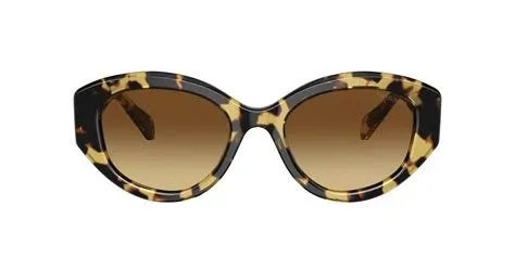 Lunettes de soleil sk6005