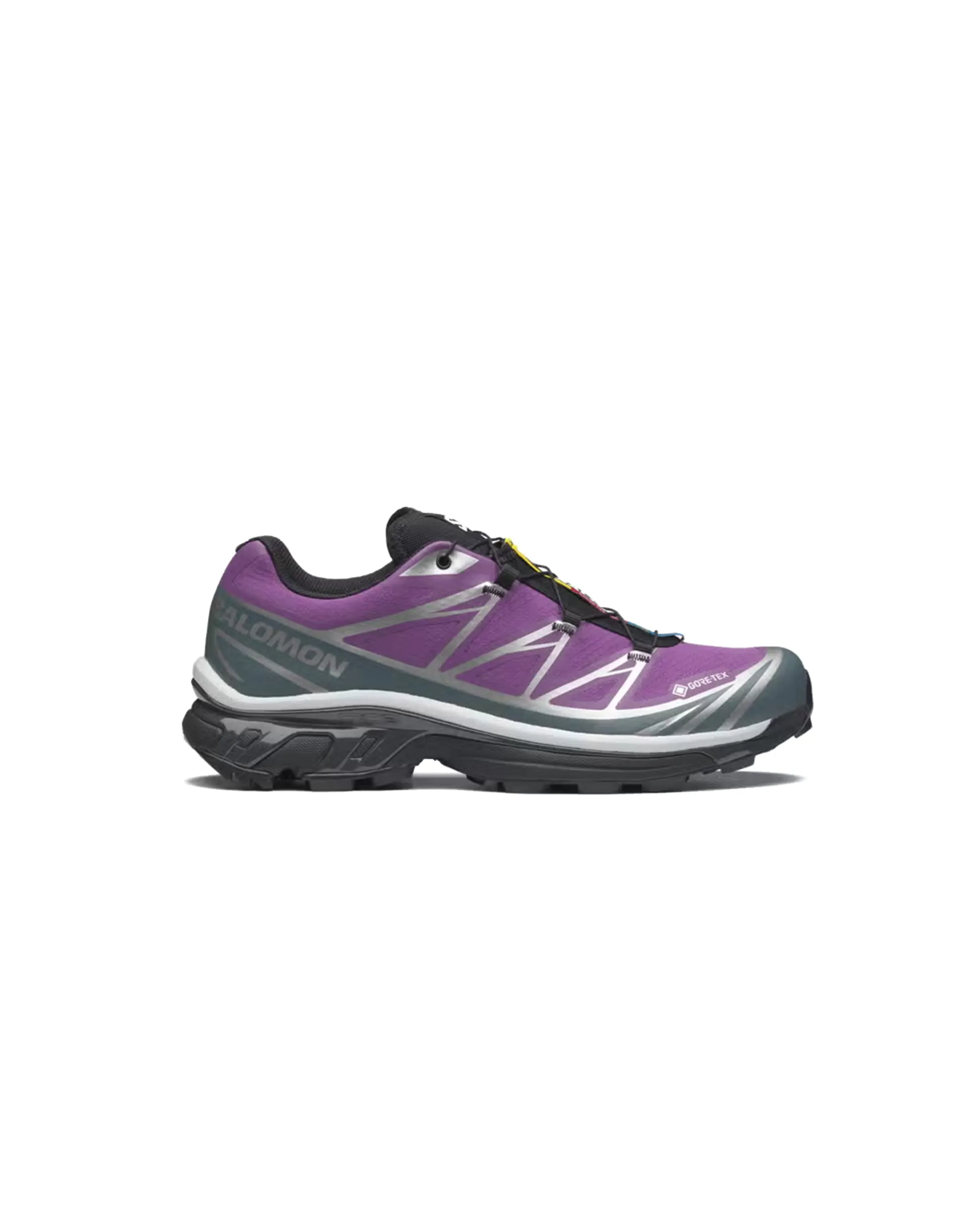 XT-6 GORE-TEX Concord Grape/Stormy Weather/Footwear Silver