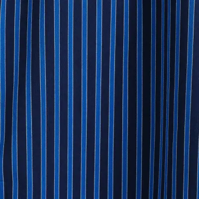 PANTALON RAYÉ À PASSEPOILS ET TAILLE ÉLASTIQUÉE - BLEU / RAYÉ — photo 5