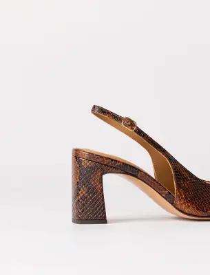 Ambre - Python — photo 5