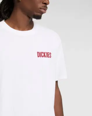 DICKIES TEE SHIRT Blanc imprimé — photo 5