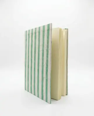 Carnet Indira - Motif rayures menthe – Mamamushi Studio — photo 3
