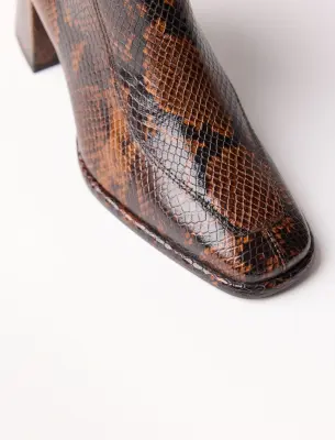 Laurène - Python — photo 5