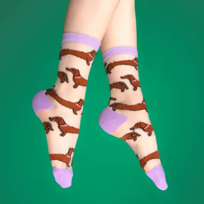 Chaussettes transparentes Teckel Coucou Suzette — photo 4