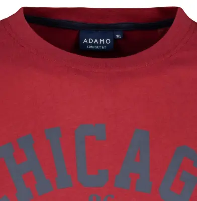 ADAMO TEE SHIRT CHICAGO Bordeaux — photo 3