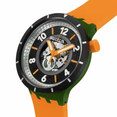 Swatch Power of Nature SB03G107 - FALL-IAGE — photo 3