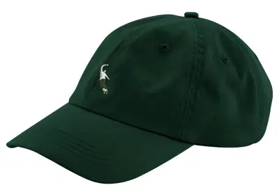 Casquette Magenta PWS Dad hat – Green — photo 1