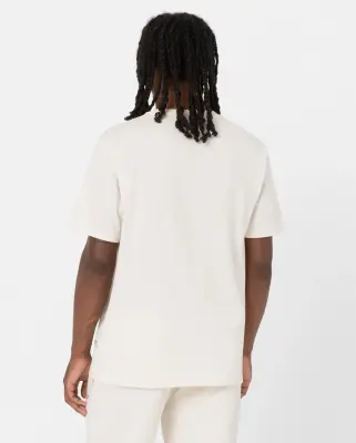 DICKIES TEE SHIRT Beige — photo 5