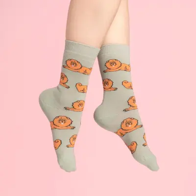 Chaussettes Chow chow Coucou Suzette — photo 2