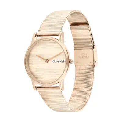 Montre Calvin Klein Timeless pour Femme 25100036 — photo 2