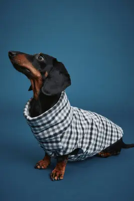 Sweat polaire pour chien - Blanc/vichy — photo 5