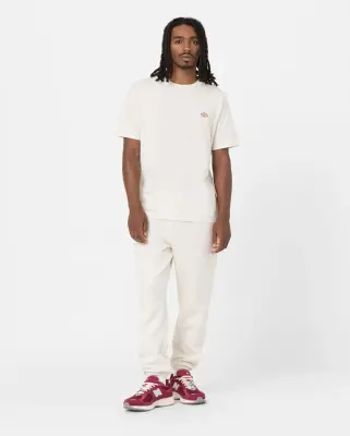 DICKIES TEE SHIRT Beige — photo 4
