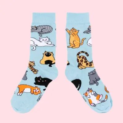 Chaussettes Miaou – Coucou Suzette — photo 3