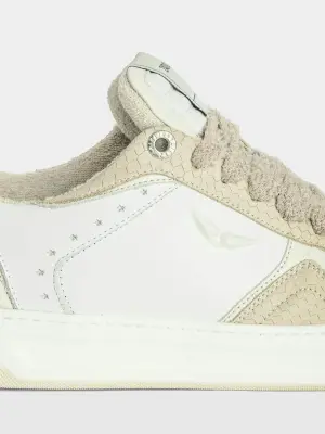 Sneakers Basses Wings — photo 5