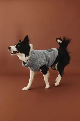Veste pour chien en tissu Teddy bear - Gris clair — photo 5