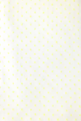 Coupon 3 m en coton plumetis — photo 2