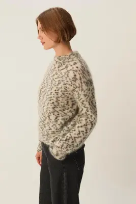 Pull Boleo Dalmatien — photo 3
