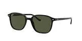 Lunettes rb 2193