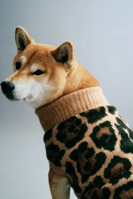 Pull pour chien - Beige foncé/imprimé léopard — photo 3