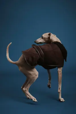 Manteau pour chien doublé de tissu Teddy bear - Marron foncé — photo 2