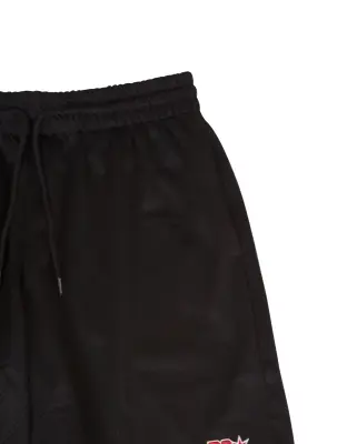 The Champs 15 Short Black — photo 3