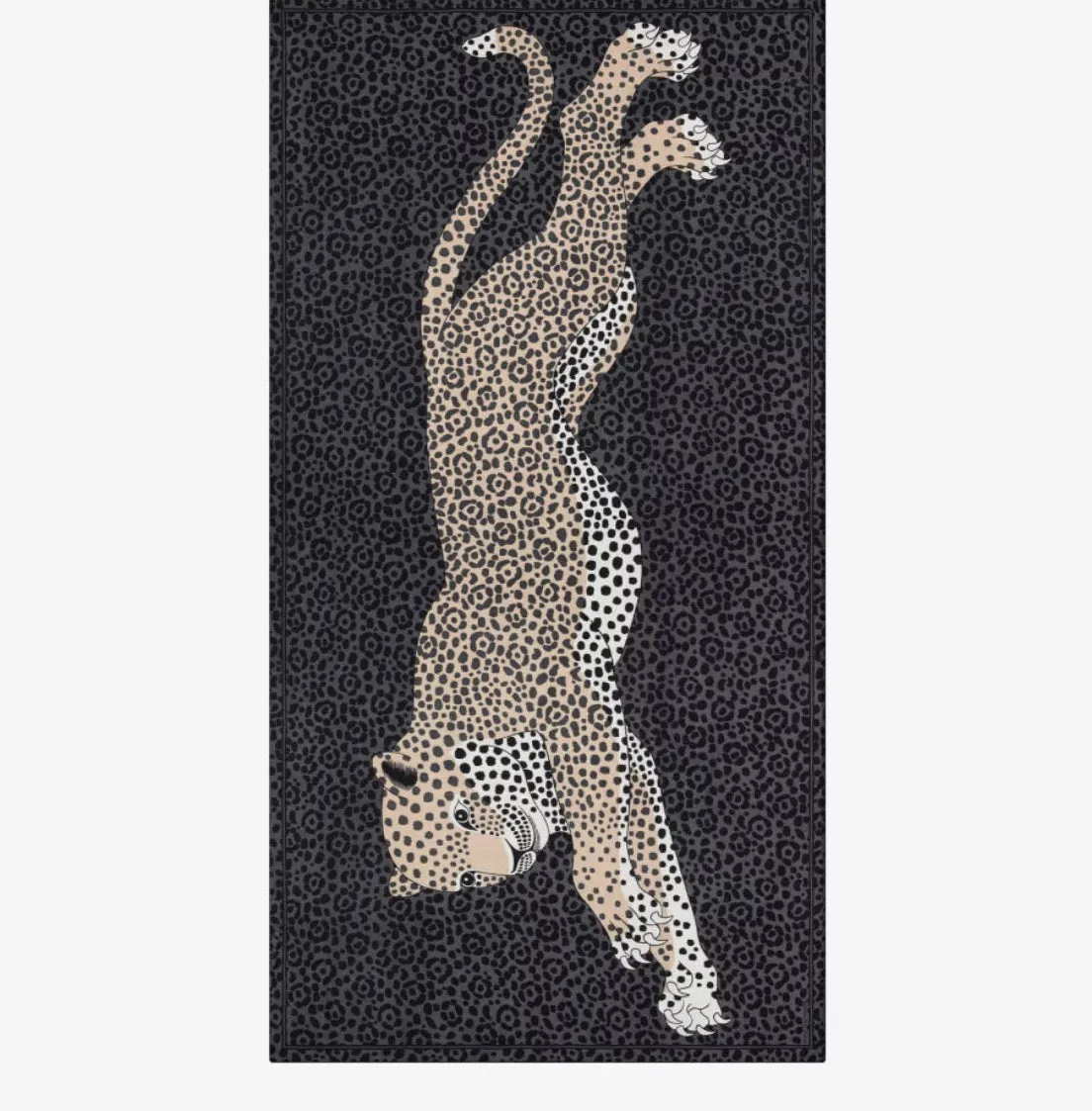 Etole 100 FELIS gris- INOUI EDITIONS