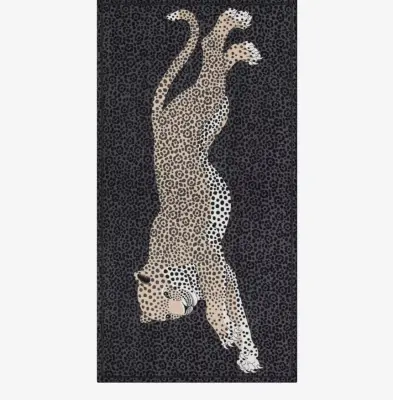 Etole 100 FELIS gris- INOUI EDITIONS — photo 1