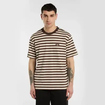 t-shirt Dickies stripe – chocolate brown — photo 3
