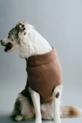 Pull pour chien en maille fine - Beige foncé — photo 1