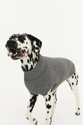 Pull pour chien en maille fine - Gris chiné — photo 2