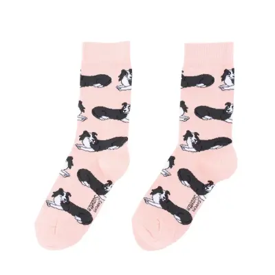 Chaussettes Border Collie Coucou Suzette — photo 4
