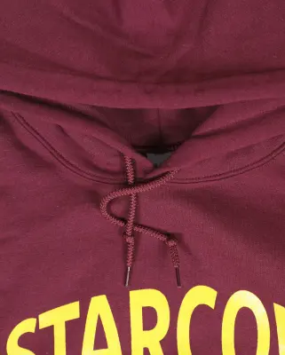 Paris City Hoodie Burgundy — photo 3