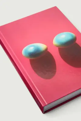 LIVRE 'VIS-À-VIS' — photo 2